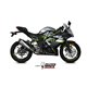 KAWASAKI NINJA 125 2019 - DELTA RACE INOX COPA CARBONO MIVV