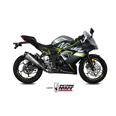 KAWASAKI NINJA 125 2019 - DELTA RACE INOX COPA CARBONO MIVV