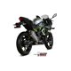 KAWASAKI NINJA 125 2019 - DELTA RACE INOX COPA CARBONO MIVV