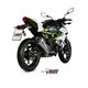 KAWASAKI Z 125 2019 - DELTA RACE INOX COPA CARBONO MIVV