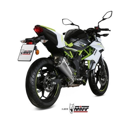 KAWASAKI Z 125 2019 - DELTA RACE INOX COPA CARBONO MIVV