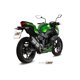 KAWASAKI Z300 2015 - 2016 SUONO INOX COPA CARBONO MIVV