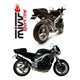 TRIUMPH SPEED TRIPLE 2002 - 2004 OVAL CARBONO MIVV