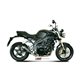 TRIUMPH SPEED TRIPLE 2007 - 2010 GP CARBONO MIVV