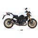 YAMAHA FZ8 / FAZER 8 2010 - 2016 DOUBLE GUN FULL TITANIUM MIVV