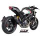 DUCATI MONSTER 1100 EVO (2011 - 2013) Escape Oval carbono