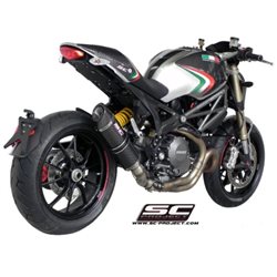 DUCATI MONSTER 1100 EVO (2011 - 2013) Escape Oval carbono