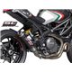 DUCATI MONSTER 1100 EVO (2011 - 2013) Escape GP-M2 carbono