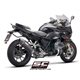 BMW R 1250 R (2019 - 2020) - RS - Euro 4 Escape X-Plorer II carbono