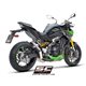 KAWASAKI Z900 (2020 - 2024) - Euro 5 Escape CR-T carbono, con malla antipiedras