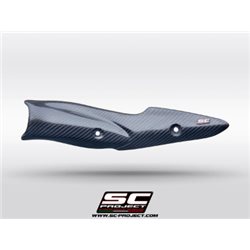 KAWASAKI Z900 (2020 - 2024) - Euro 19 Protector térmico de carbono