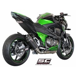 KAWASAKI Z800 (2012 - 2016) Escape Oval carbono