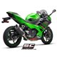 KAWASAKI NINJA 400 (2018 - 2020) Escape SC1-M carbono