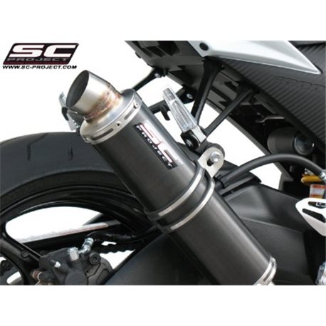 SUZUKI GSX-R1000 (2009 - 2011) Escape GP carbono