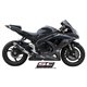 SUZUKI GSX-R600 - GSX-R750 (2008 - 2010) Escape GP-M2 carbono