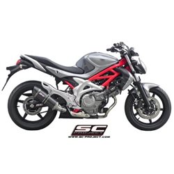 SUZUKI GLADIUS 650 (2009 - 2015) Escape Oval carbono