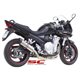 SUZUKI BANDIT 650 (2007 - 2012) Escape Oval titanio