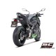 KAWASAKI Z900 (2020) - Euro 4 Escape CR-T carbono, con malla antipiedras