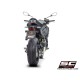 KAWASAKI Z900 (2020) - Euro 4 Escape CR-T carbono, con malla antipiedras