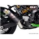 KAWASAKI Z900 (2020) - Euro 13 Escape GP-M2 carbono