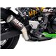 KAWASAKI Z900 (2020 - 2024) - Euro 5 Escape CR-T carbono, con malla antipiedras