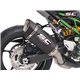 KAWASAKI Z900 (2020 - 2024) - Euro 12 Escape SC1-R carbono