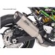 KAWASAKI Z900 (2020 - 2024) - Euro 16 Escape SC1-S titanio (SIN protector carbono)