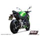 KAWASAKI Z900 (2017 - 2019) - Euro 15 Escape GP-M2 carbono