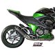 KAWASAKI Z800 (2012 - 2016) Escape Oval carbono