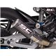 BMW M 1000 RR (2020 - 2024) Escape CR-T carbono, con malla antipiedras