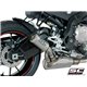 BMW S 1000 R (2017 - 2020) Escape CR-T titanio, con malla antipiedras