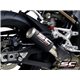 BMW S 1000 R (2021 - 2024) Escape CR-T carbono, con malla antipiedras