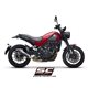 BENELLI LEONCINO 500 (2017 - 2020) - Trail Escape Conic carbono