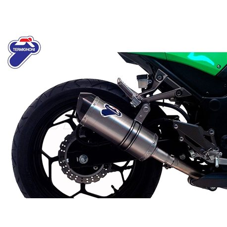 KAWASAKI NINJA 300 R SILENCIOSO RELEVANCE CARBONO TERMIGNONI