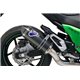 KAWASAKI Z 800 SILENCIOSO RELEVANCE CARBONO TERMIGNONI