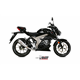 SUZUKI GSX-S 125 2017 DELTA RACE INOX COPA CARBONO LINEA COMPLETA 1x1