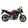 YAMAHA FZS 1000 FAZER 2001 2005 GP CARBONO