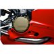 DUCATI PANIGALE 1199/1299 12-18 SISTEMA COMPLETO FORCE TITANIUM