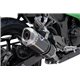 KAWASAKI NINJA 300R 12-17 TUBO ESCAPE RELEVANCE CARBON