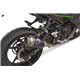 KAWASAKI NINJA400/Z400 18-19 TUBO ESCAPE CARBON