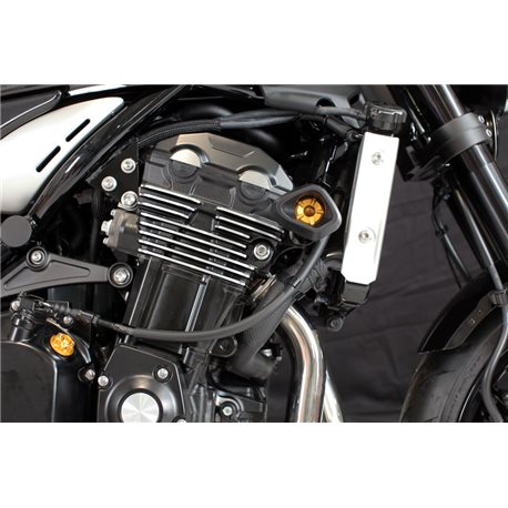 KAWASAKI Z900/Z900RS PROTECTORES ANTICAIDA ANTISHOCK EVOTECH