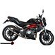 Aprilia tuono 1000 v4 r-std 2011/14 gpr gpe ann.poppy