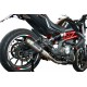 Aprilia tuono 1000 v4 r-std 2011/14 gpr gpe ann.poppy