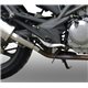 Bmw r 1200 gs 2013/18 gpr decatalizzatore