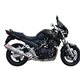 Kawasaki z 1000 sx 2011/16 gpr deeptone carbon