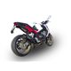 Ducati monster 1000 2003/05 gpr furore carbon