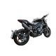 Aprilia tuono v4 1100-rr 2015/16 gpr gpe ann.black titanium