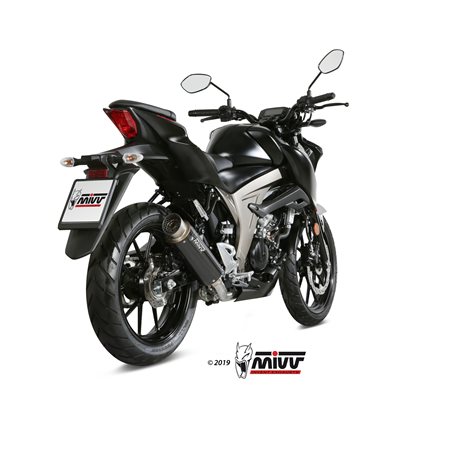 SUZUKI GSX-R 125 2017 GP PRO CARBONO LINEA COMPLETA 1x1