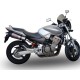 HONDA HORNET 900 2002/05 ESCAPE HOMOLOGADO Y TUBO DE CONEXIÓN GPE ANN. TITAIUM