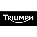 Triumph puig